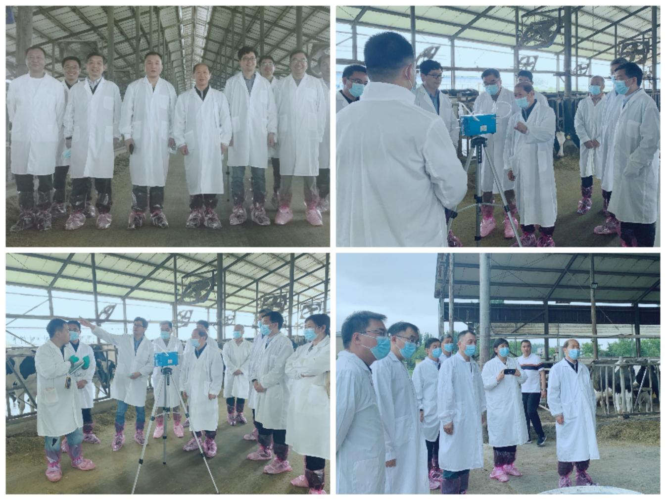 花花牛丨河南農(nóng)業(yè)大學(xué)黨委副書記、校長(zhǎng)介曉磊一行蒞臨花花牛河南瑞亞參觀調(diào)研