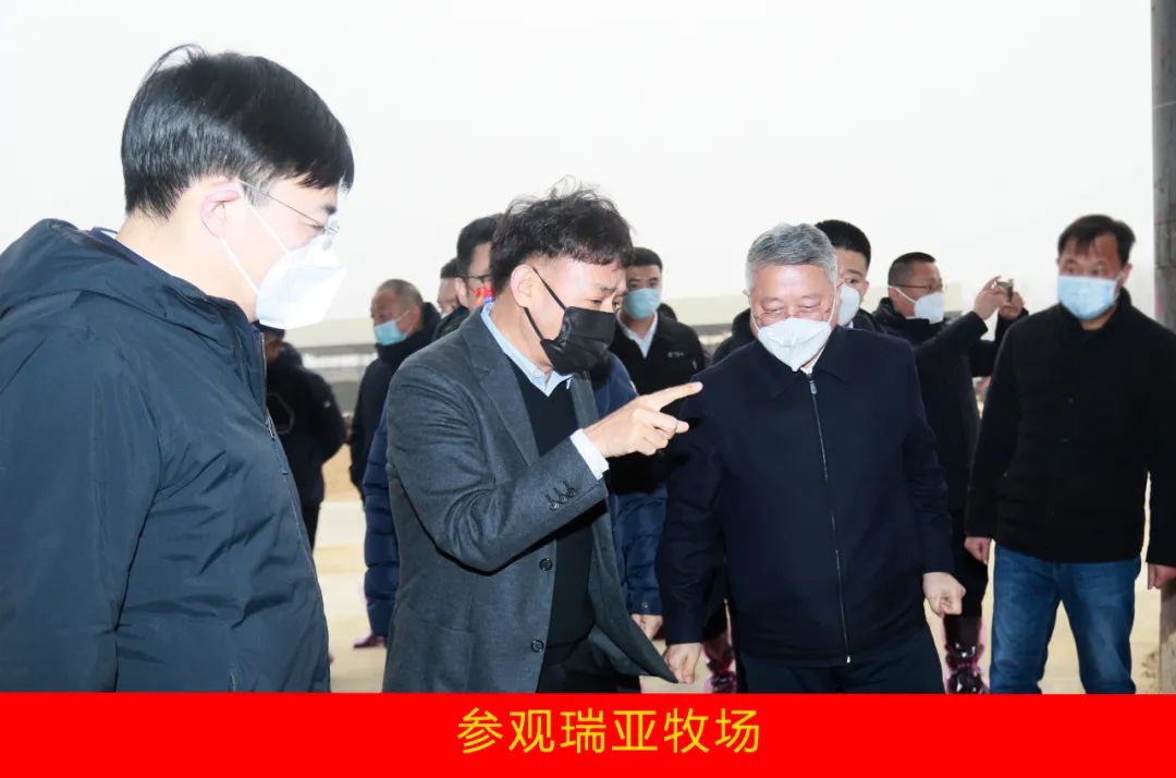 新年開新局 合作促發(fā)展丨佳木斯市委常委、副市長閆志剛一行蒞臨花花牛乳業(yè)集團及佳田企業(yè)考察座談