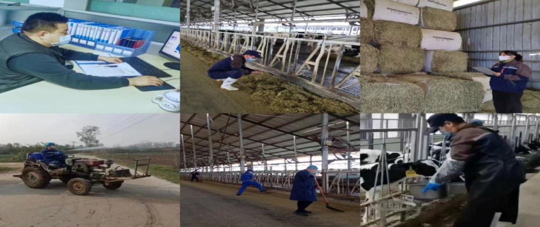 @全體花花牛人：請珍惜你的崗位，請善待我們共同的“花花牛”！