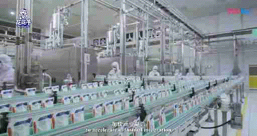 快訊 | 湖北省農(nóng)業(yè)廳副廳長(zhǎng)王海濤等領(lǐng)導(dǎo)一行蒞臨河南花花牛乳業(yè)集團(tuán)參觀調(diào)研