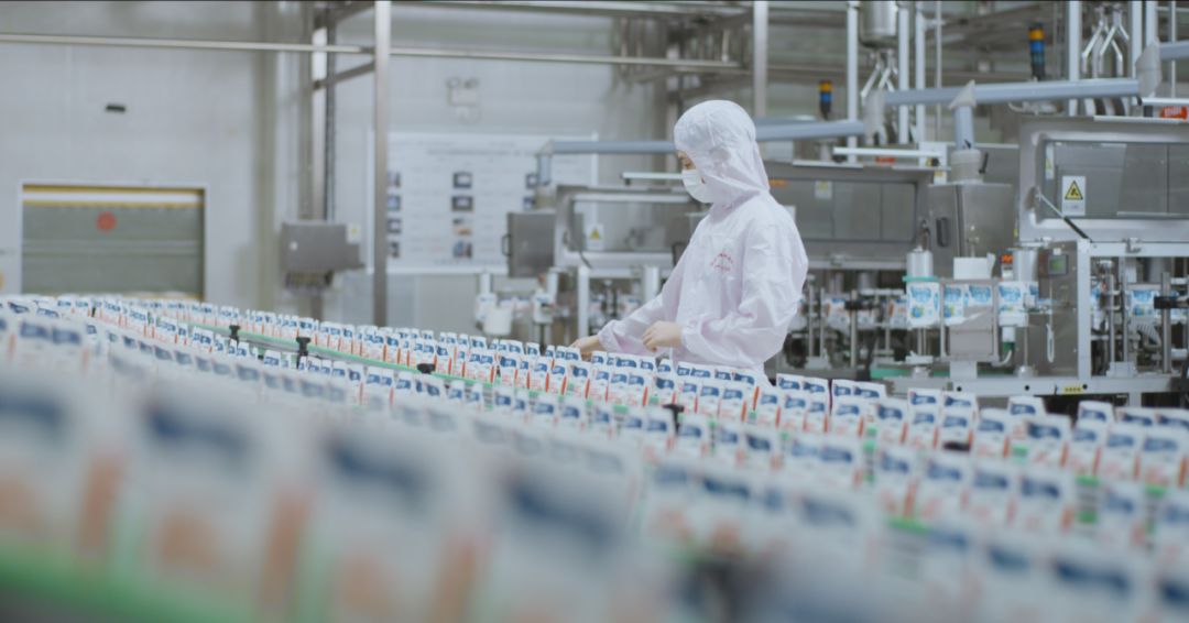 快訊 | 河南省人民政府食品安全委員會辦公室第三批食品安全示范區(qū)驗收組領(lǐng)導蒞臨花花牛乳業(yè)集團驗收食品安全示范區(qū)建設情況 快訊 | 河南省人民政府食品安全委員會辦公室第三批食品安全示范區(qū)驗收組領(lǐng)導蒞臨花花牛乳業(yè)集團驗收食品安全示范區(qū)建設情況