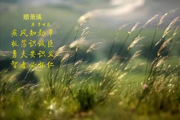 花花牛 | 疾風(fēng)來臨，你是不是勁草？