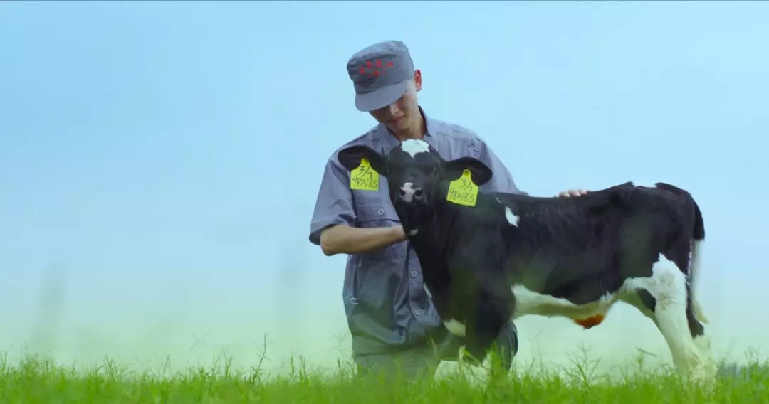 喜報(bào) | 國家市場監(jiān)管總局抽檢，花花牛等112家企業(yè)乳品抽檢全部合格