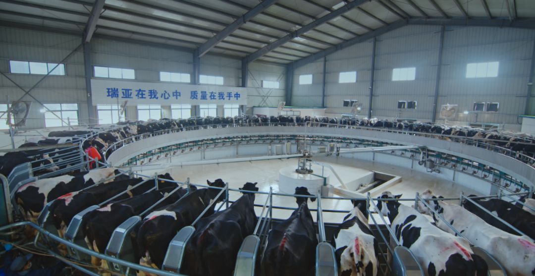 花花牛集團(tuán)旗下六家公司入選省農(nóng)業(yè)產(chǎn)業(yè)化重點(diǎn)龍頭企業(yè)名單 花花牛集團(tuán)旗下六家公司入選省農(nóng)業(yè)產(chǎn)業(yè)化重點(diǎn)龍頭企業(yè)名單