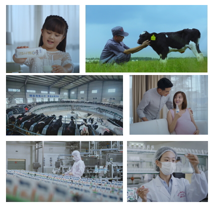 花花牛亮相中國(guó)奶業(yè)20強(qiáng)呼倫貝爾峰會(huì)，共話中國(guó)奶業(yè)振興！