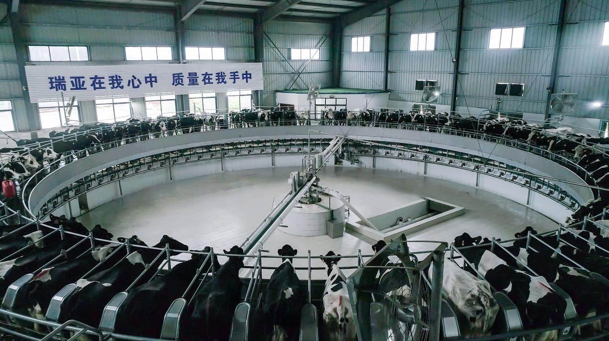 又雙叒叕獲獎(jiǎng)啦！花花牛榮獲“乳品質(zhì)量安全管理 優(yōu)秀企業(yè)”