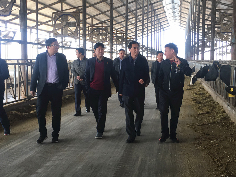 封丘縣縣長王獻(xiàn)臣一行蒞臨 花花牛集團(tuán)養(yǎng)殖、乳品事業(yè)部參觀調(diào)研