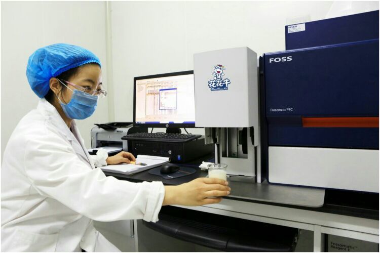 花花牛：務(wù)實(shí)、創(chuàng)新領(lǐng)潮市場(chǎng) 大企業(yè)體現(xiàn)大擔(dān)當(dāng)