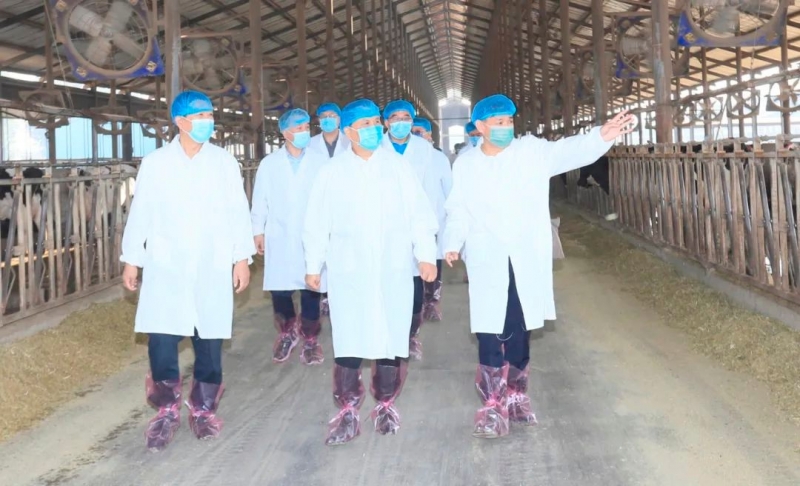快訊丨河南省人民政府副省長(zhǎng)武國定蒞臨花花牛乳業(yè)集團(tuán)瑞亞牧業(yè)調(diào)研奶源基地建設(shè)情況